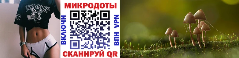 Псилоцибиновые грибы MAGIC MUSHROOMS купить цена Нижнекамск